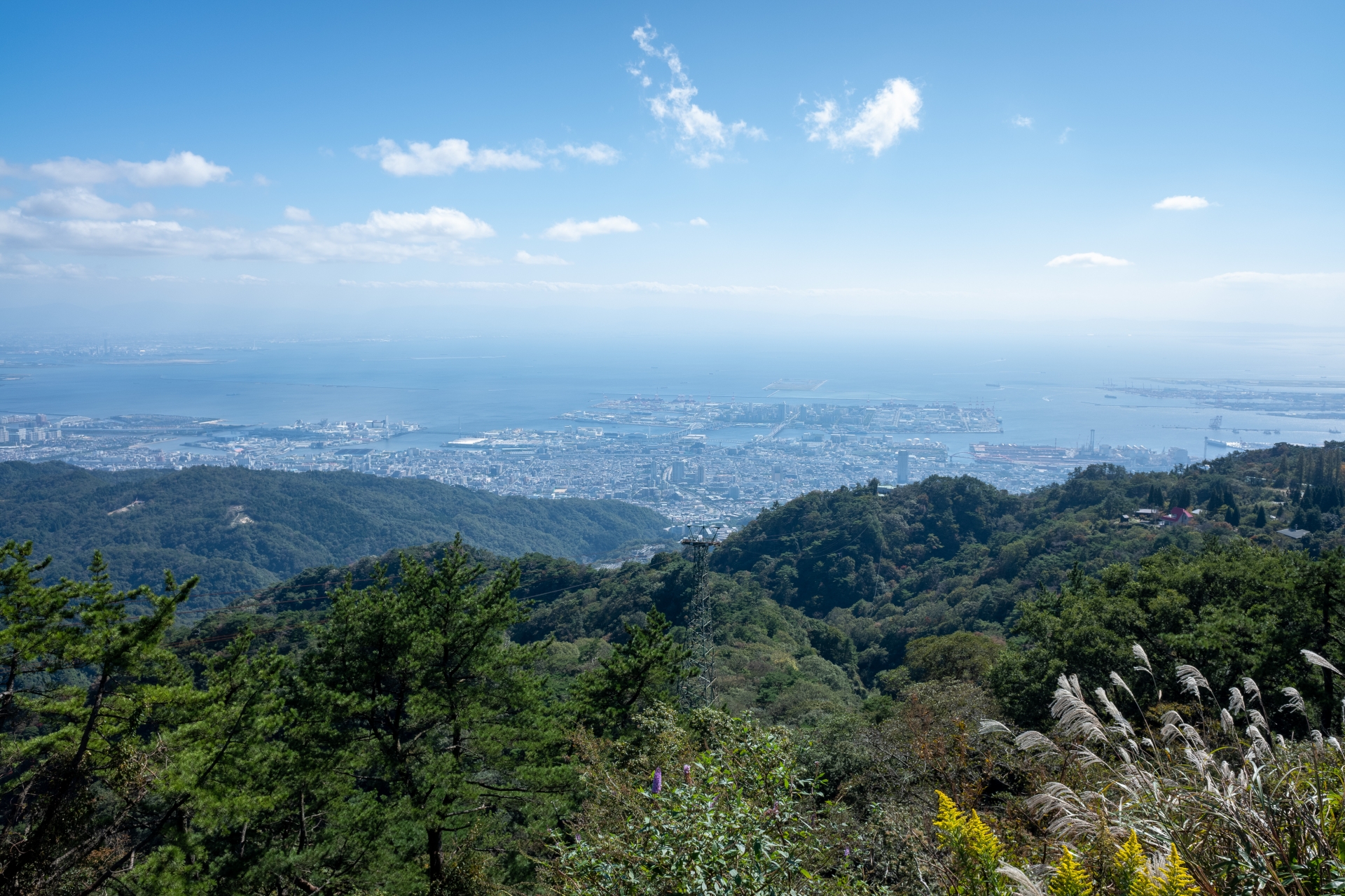 宍粟市一宮町伊和のメイン画像