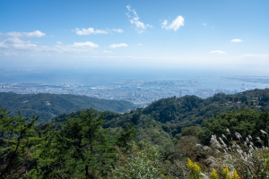 宍粟市一宮町伊和の土地情報と快適タウン情報