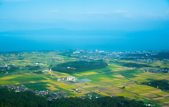 大津市膳所平尾町のメイン画像