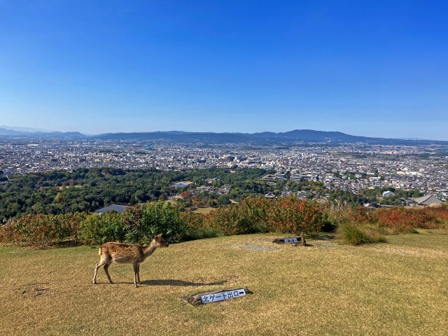 北葛城郡河合町泉台二丁目のメイン画像