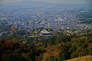 奈良市阿字万字町の土地情報と快適タウン情報