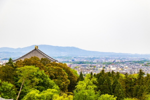 桜井市大字太田は住みやすい土地なのか検証