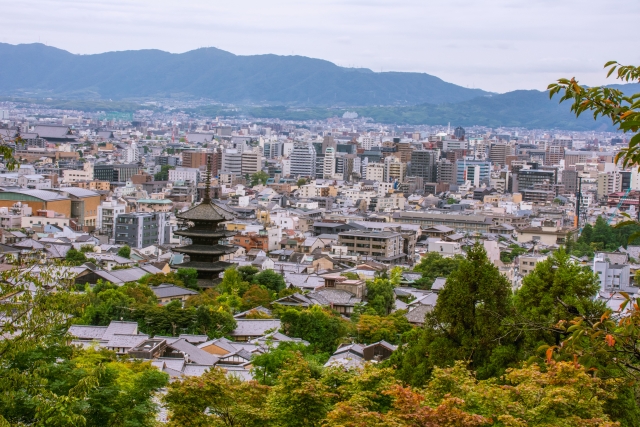 京都市伏見区桃山町中島町のメイン画像