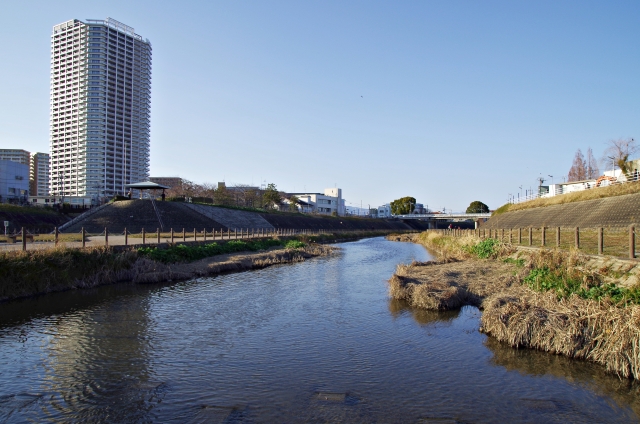 堺市西区浜寺南町三丁のメイン画像