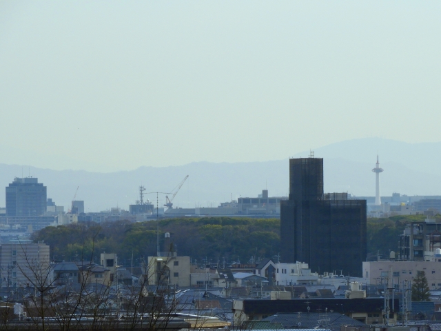 京都市伏見区表町のメイン画像